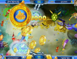 金沙足球正版app下载2024最新版